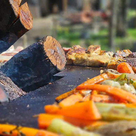 Ingerichte Safaritent Camping *