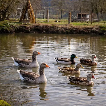 Ingerichte Safaritent Camping