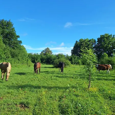 Ingerichte Safaritent Camping Saint-Priest-en-Murat